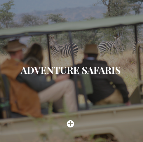 adventure-safaris