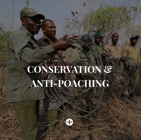 anti-poaching-tanzania