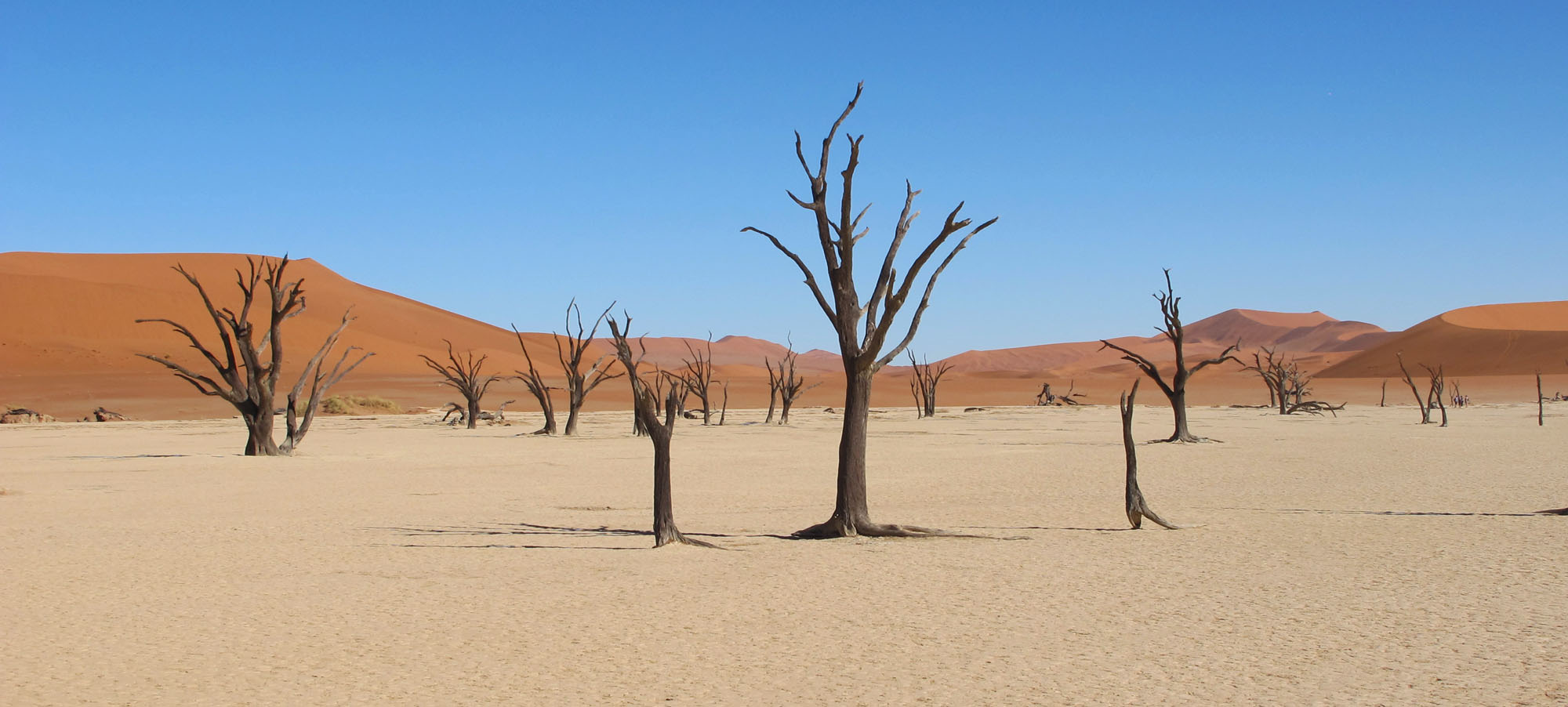 namibia-adventure