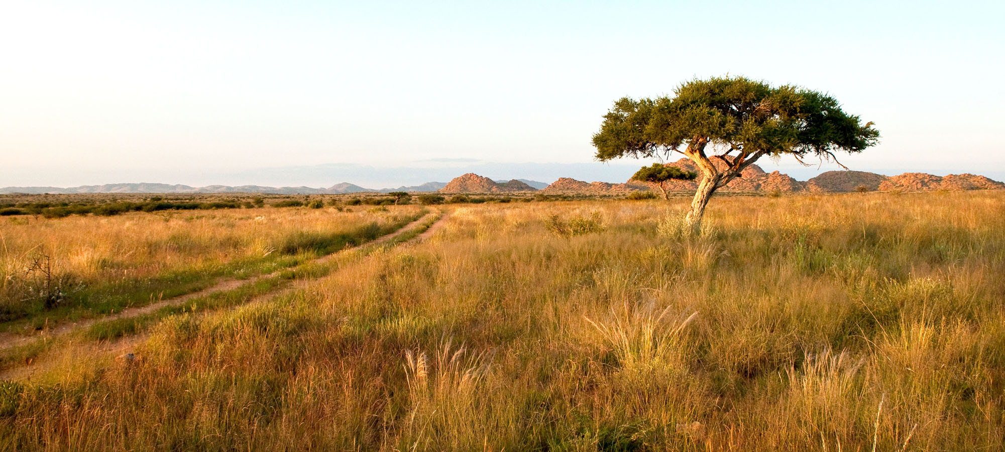 namibia-hunting-regulations1