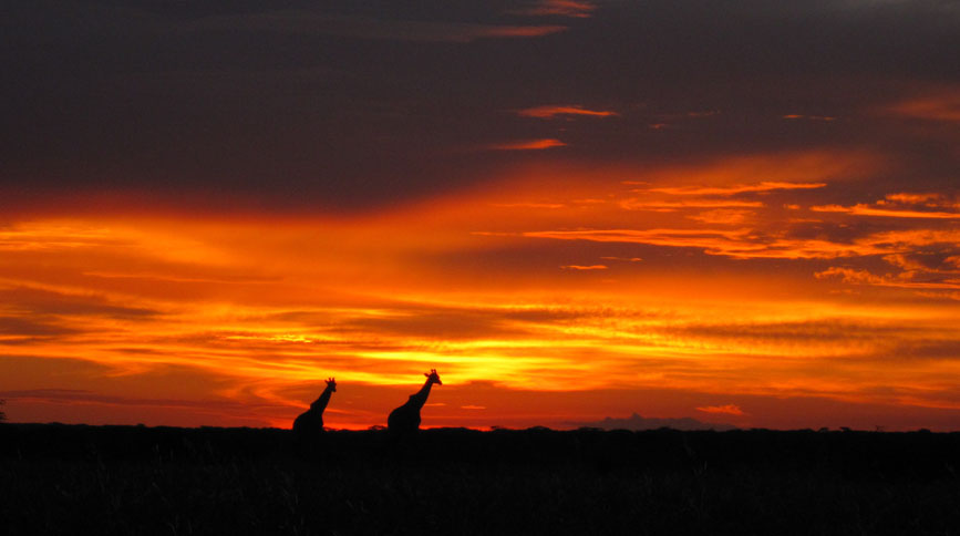 photographicsafaristanzania